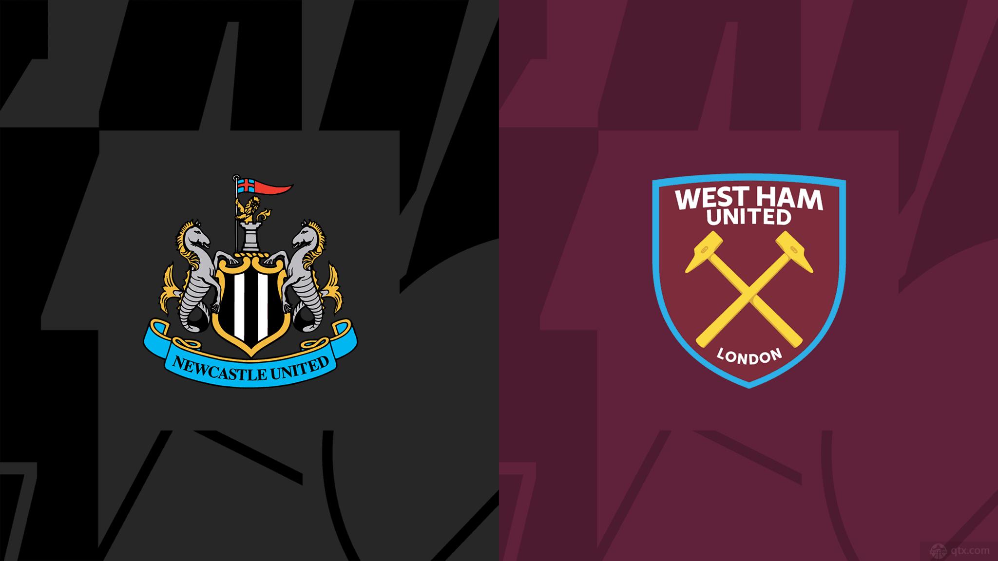 是西班牙青 是西班牙青